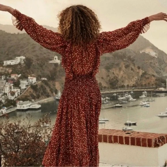 NWT DOEN MURIEL DRESS - XXS (roughly size 0-2) Red Print - Silk - Picture 3 of 12